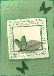 carte papillon