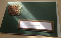 carte de condoleance feuilles
