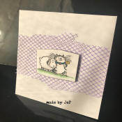 carte mini chat mouton