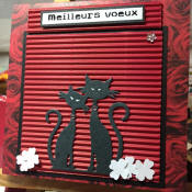 meilleurs voeux les chats