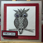 carte de voeux magnifique hibou zentangle original
