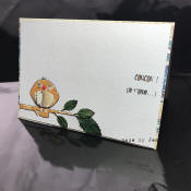 des cartes pour la St Valentin ... uniques !