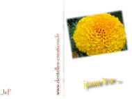 carte fleurs gratuite à imprimer JeP