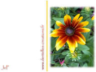 carte fleurs gratuite à imprimer JeP